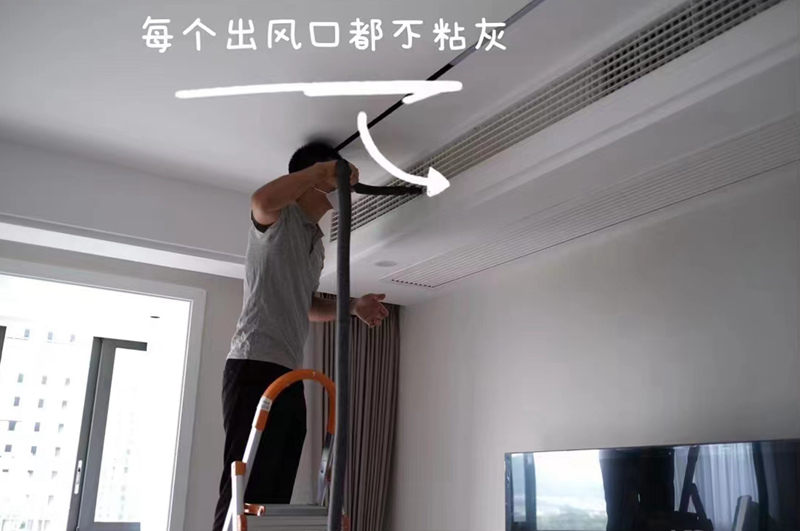 上虞樱花草在线社区日本韩国公司推薦